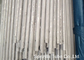 Cold Drawn Seamless Stainless Steel Tube / Pipe With Bevelled Ends 1/4'' - 20'' supplier