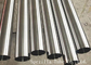 BPE SF1 Polished TP316L Seamless Stainless Steel Sanitary Pipe for Bioprocessing supplier