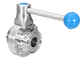 ASME BPE SF1 Polished Threaded Butterfly Valve SS316 , DN10 To DN65 Size Range supplier